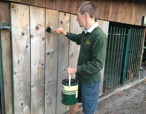 Painting shed